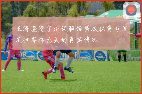 王涛澄清言论误解强调版权费与国足世界杯无关的真实情况