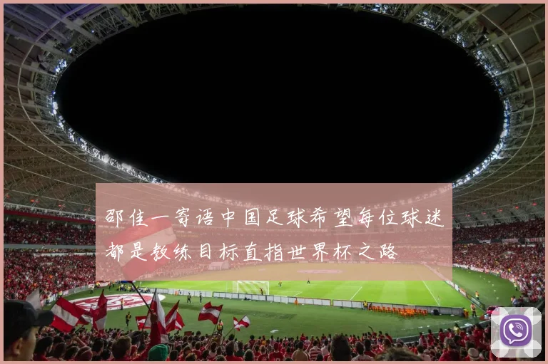 邵佳一寄语中国足球希望每位球迷都是教练目标直指世界杯之路