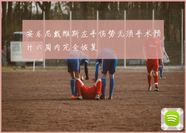 安东尼戴维斯左手伤势无须手术预计六周内完全恢复