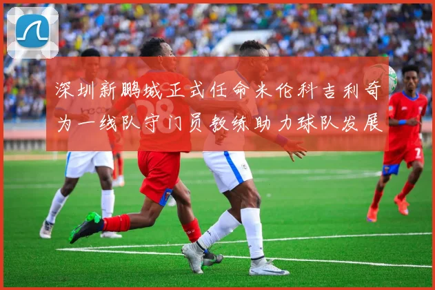 深圳新鹏城正式任命米伦科吉利奇为一线队守门员教练助力球队发展