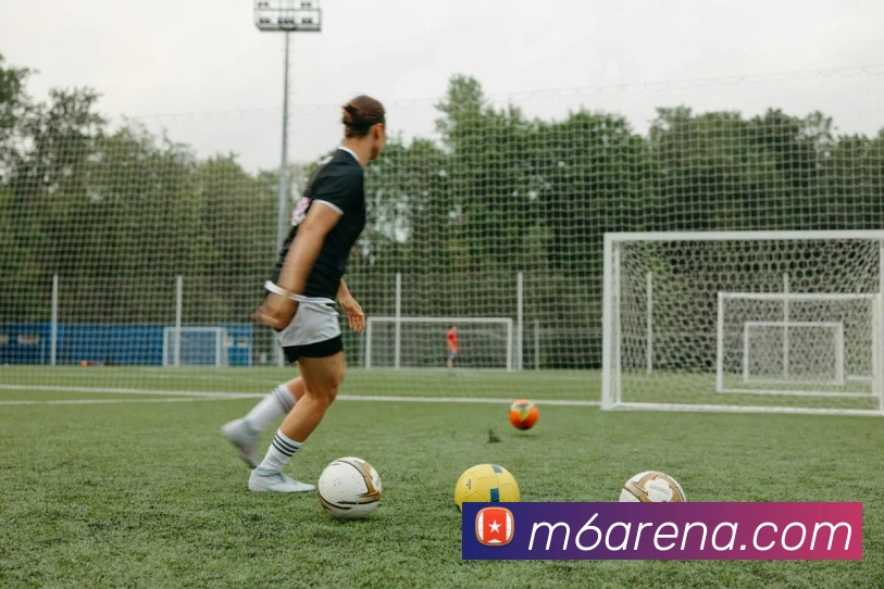 M6米乐品牌故事